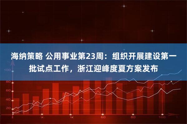 海纳策略 公用事业第23周：组织开展建设第一批试点工作，浙江迎峰度夏方案发布