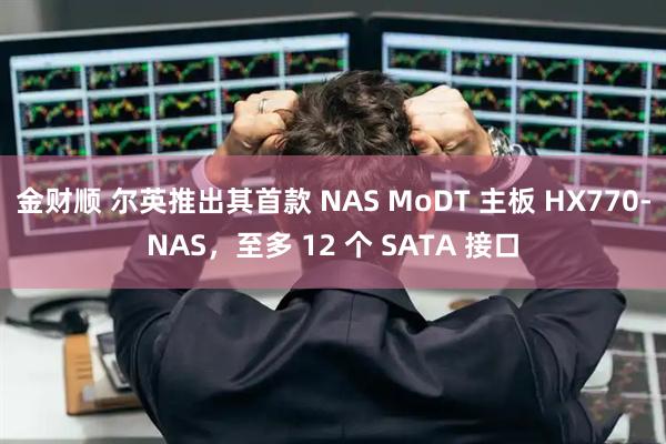 金财顺 尔英推出其首款 NAS MoDT 主板 HX770-NAS，至多 12 个 SATA 接口