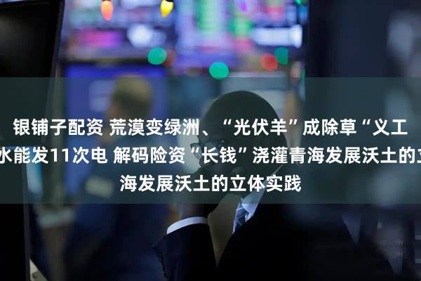 银铺子配资 荒漠变绿洲、“光伏羊”成除草“义工”、1滴水能发11次电 解码险资“长钱”浇灌青海发展沃土的立体实践