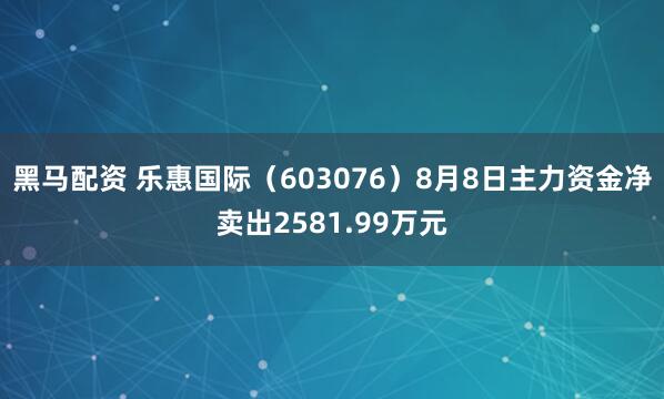 黑马配资 乐惠国际(603076)8月8日主力资金净卖出2581.99万元