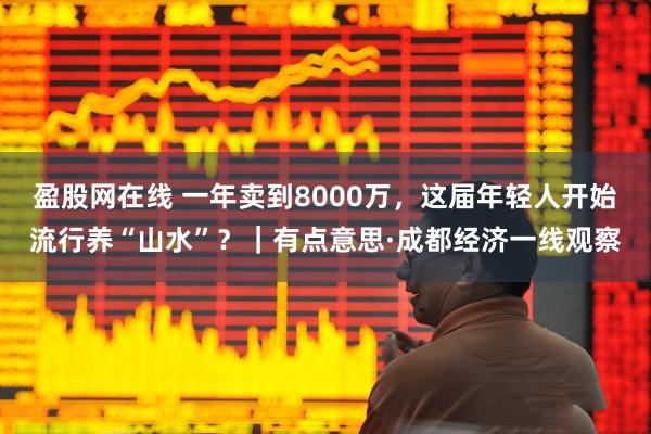 盈股网在线 一年卖到8000万，这届年轻人开始流行养“山水”？｜有点意思·成都经济一线观察